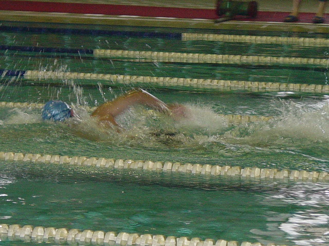 The Swimming Contest